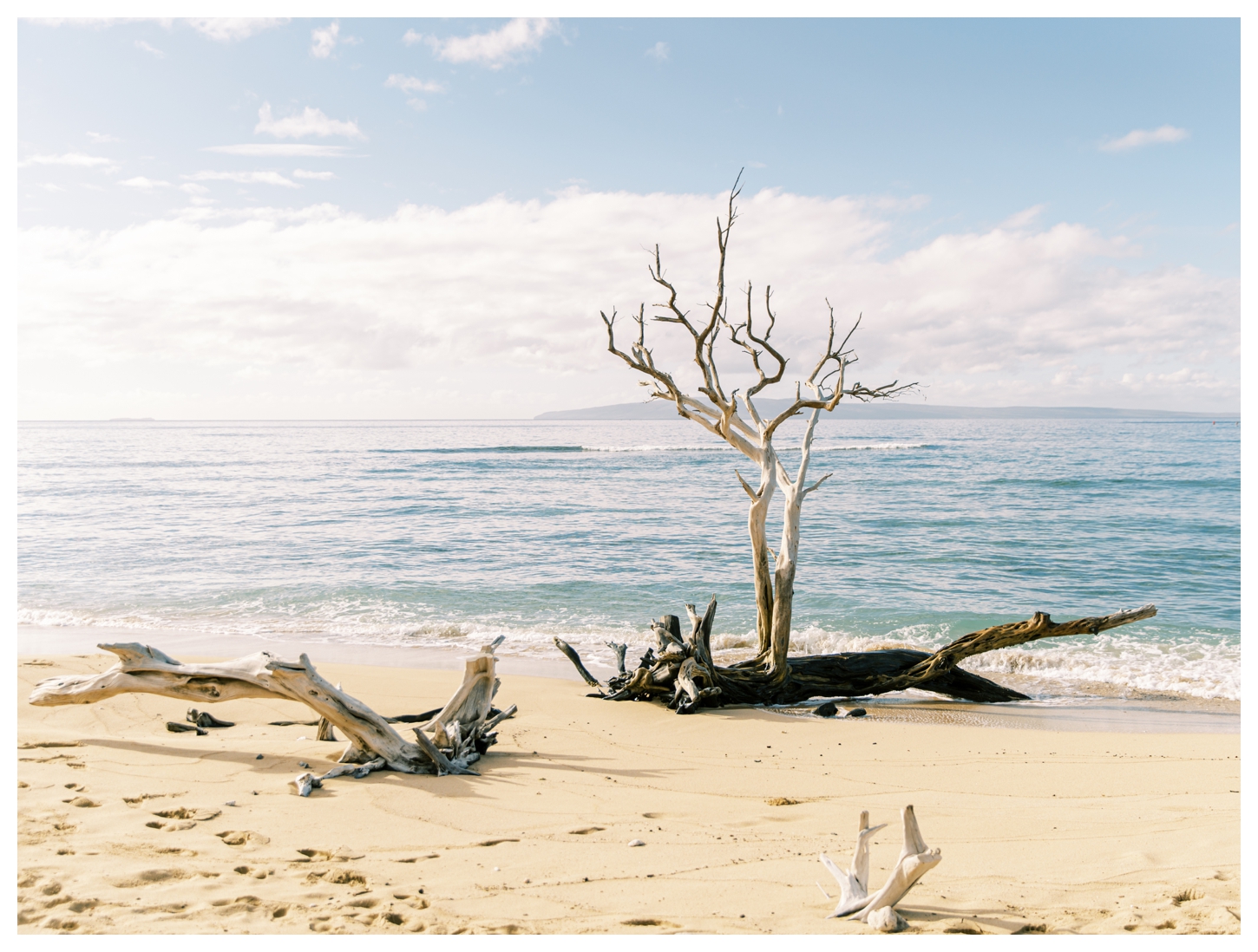 Maui Hawaii photographer