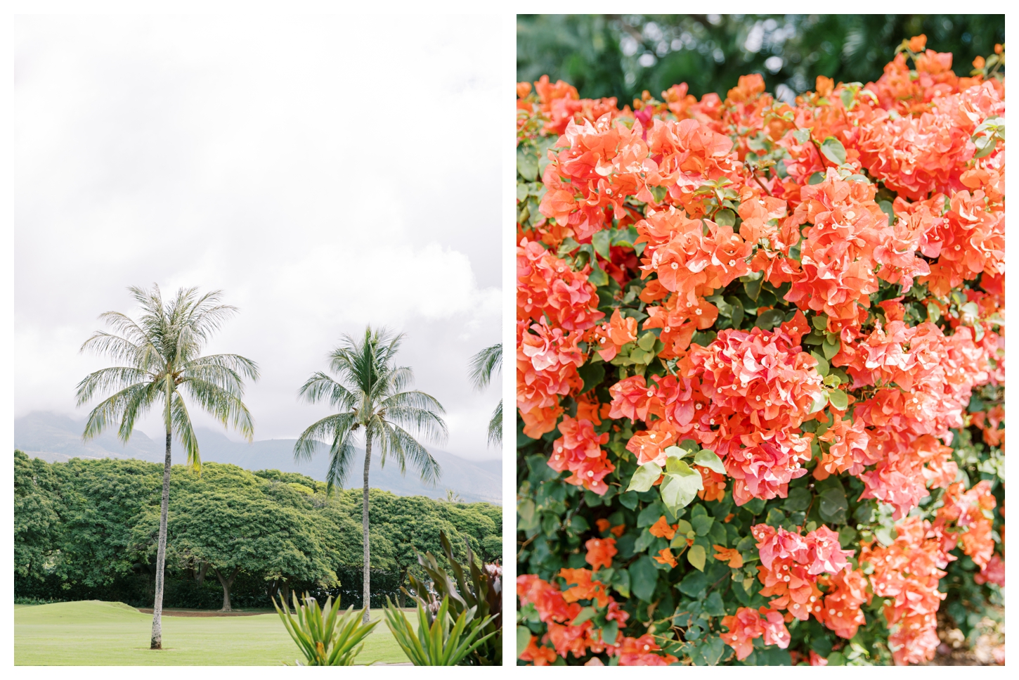 Maui Hawaii photographer