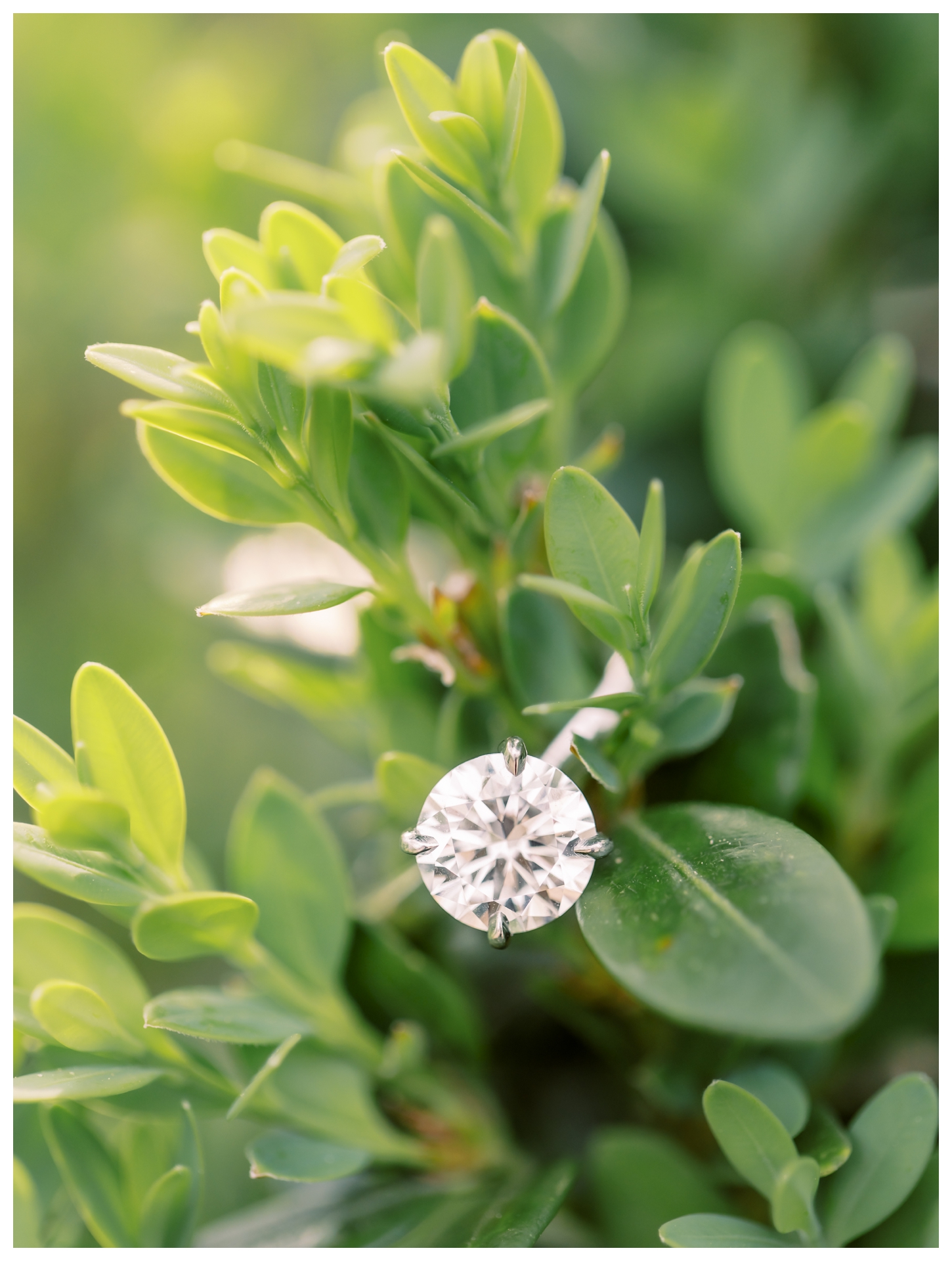 Oahu Hawaii Engagement Photographer