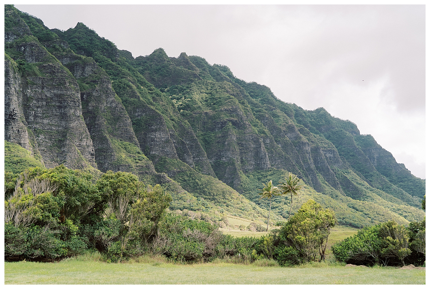 Kualoa Ranch Low Camp Wedding Photos