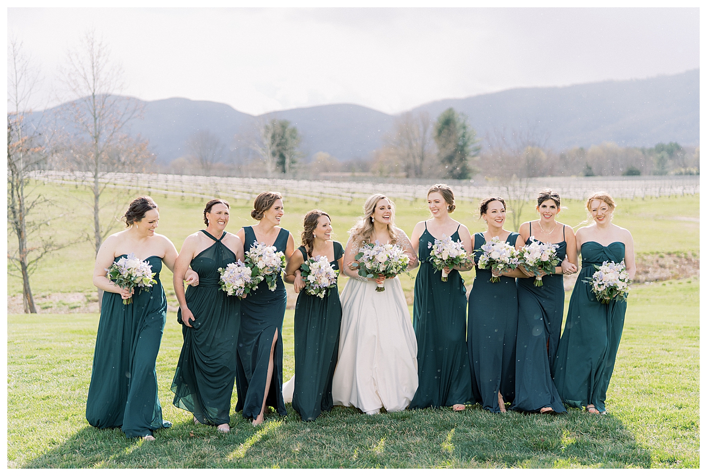 Veritas Winery Wedding Photographer