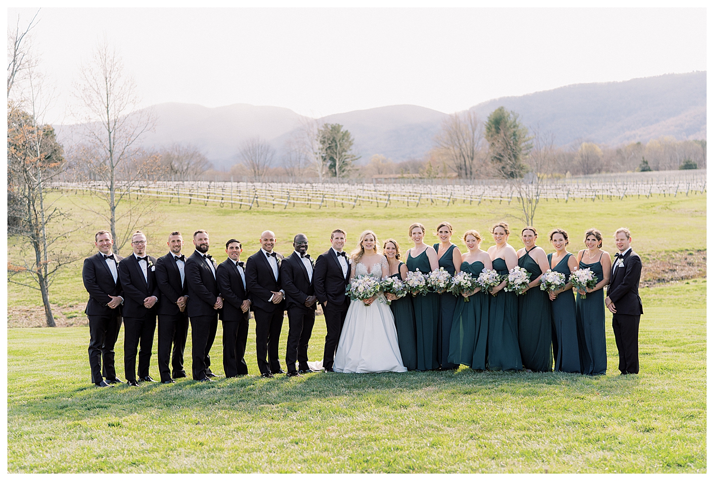 Veritas Winery Wedding Photographer