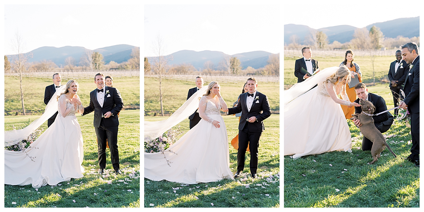 Veritas Winery Wedding Photographer