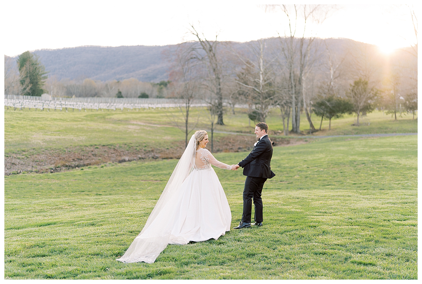 Veritas Winery Wedding Photographer