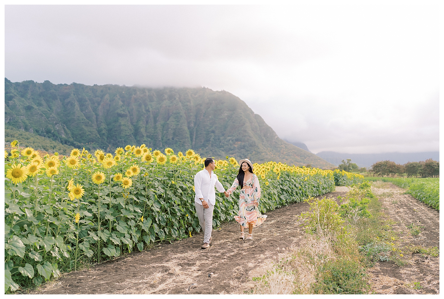 Sunflower Field Oahu Photoshoot