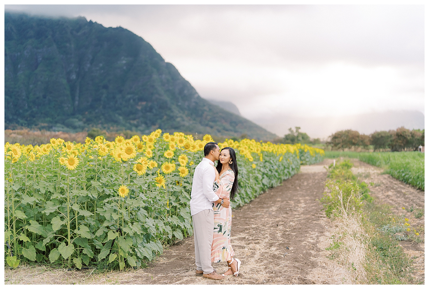 Sunflower Field Oahu Photoshoot