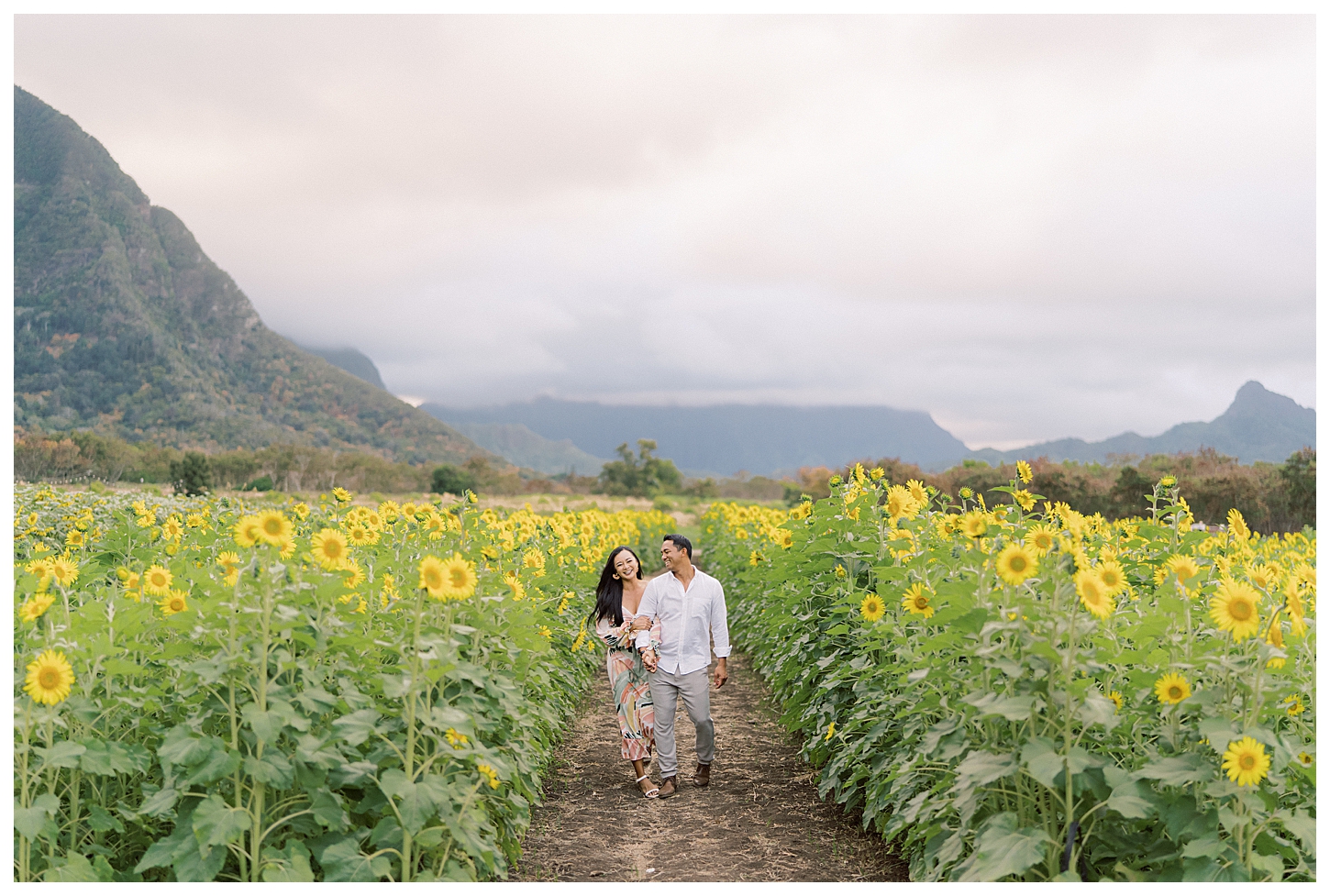 Sunflower Field Oahu Photoshoot