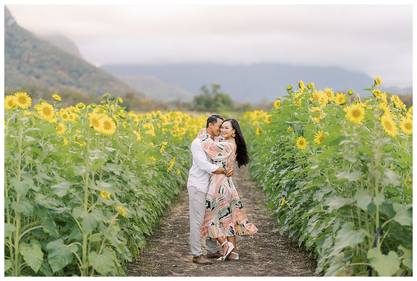 Sunflower Field Oahu Photoshoot