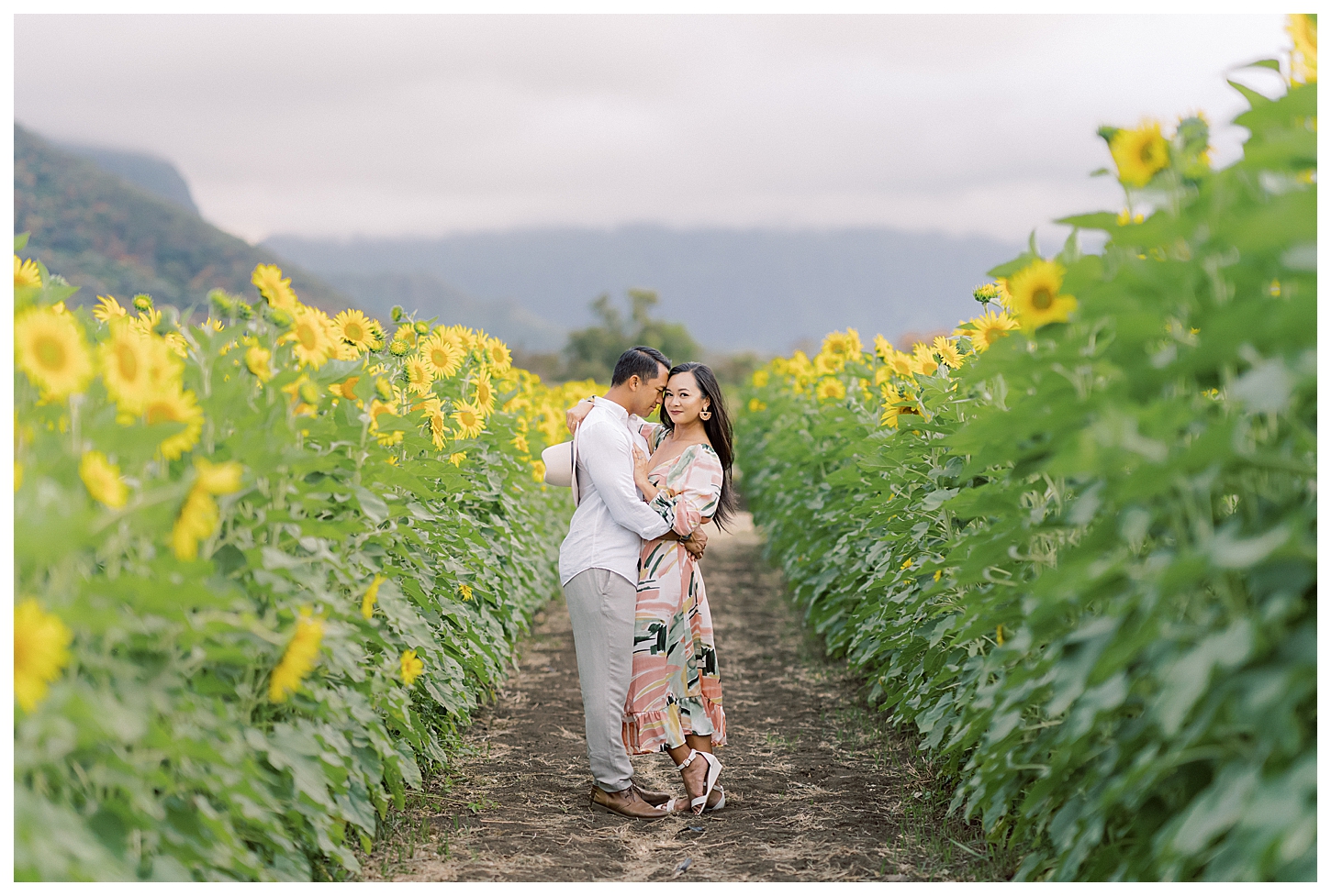 Sunflower Field Oahu Photoshoot