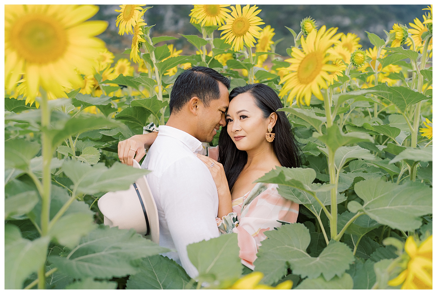 Sunflower Field Oahu Photoshoot