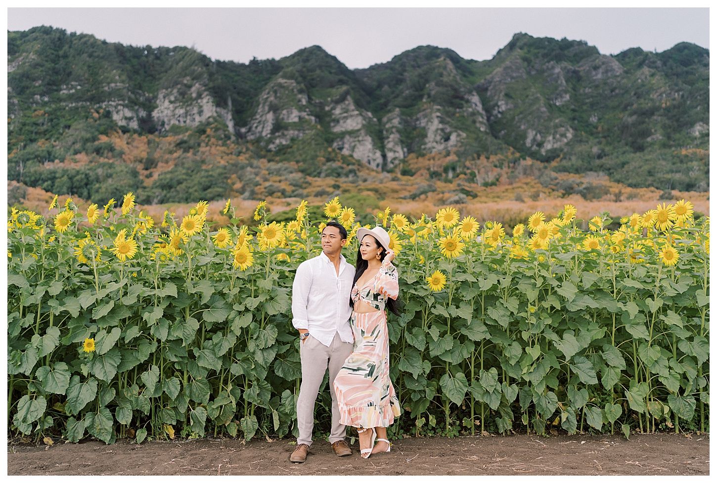 Sunflower Field Oahu Photoshoot