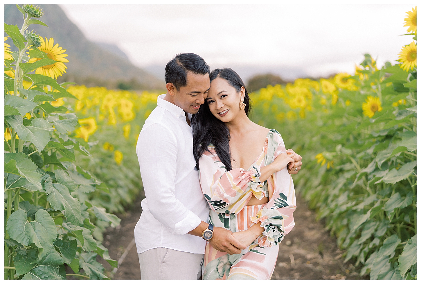 Sunflower Field Oahu Photoshoot