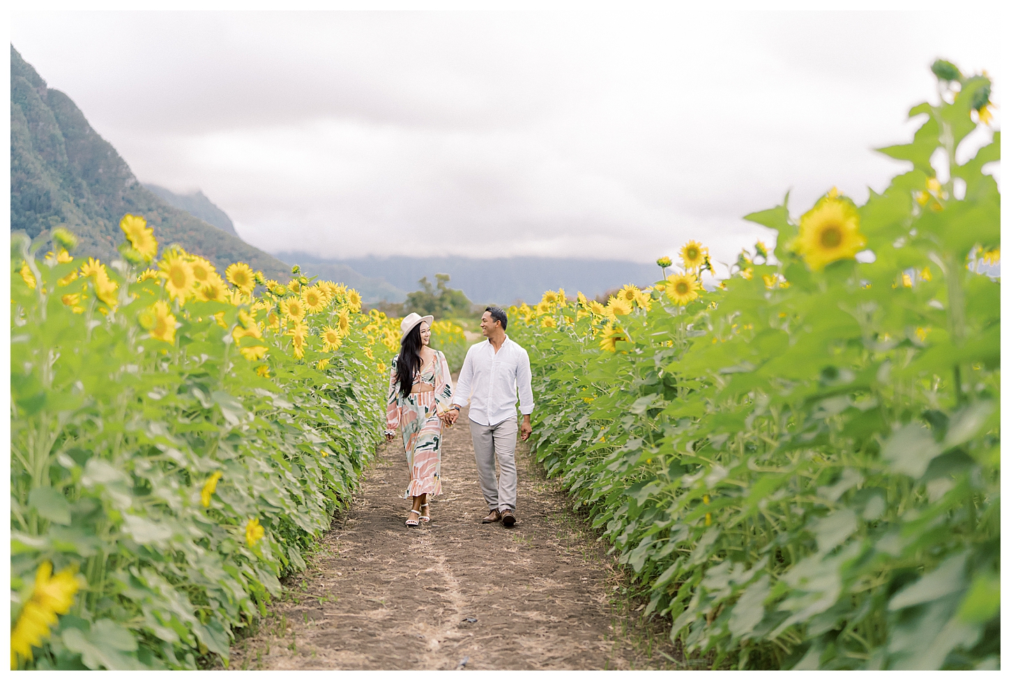 Sunflower Field Oahu Photoshoot