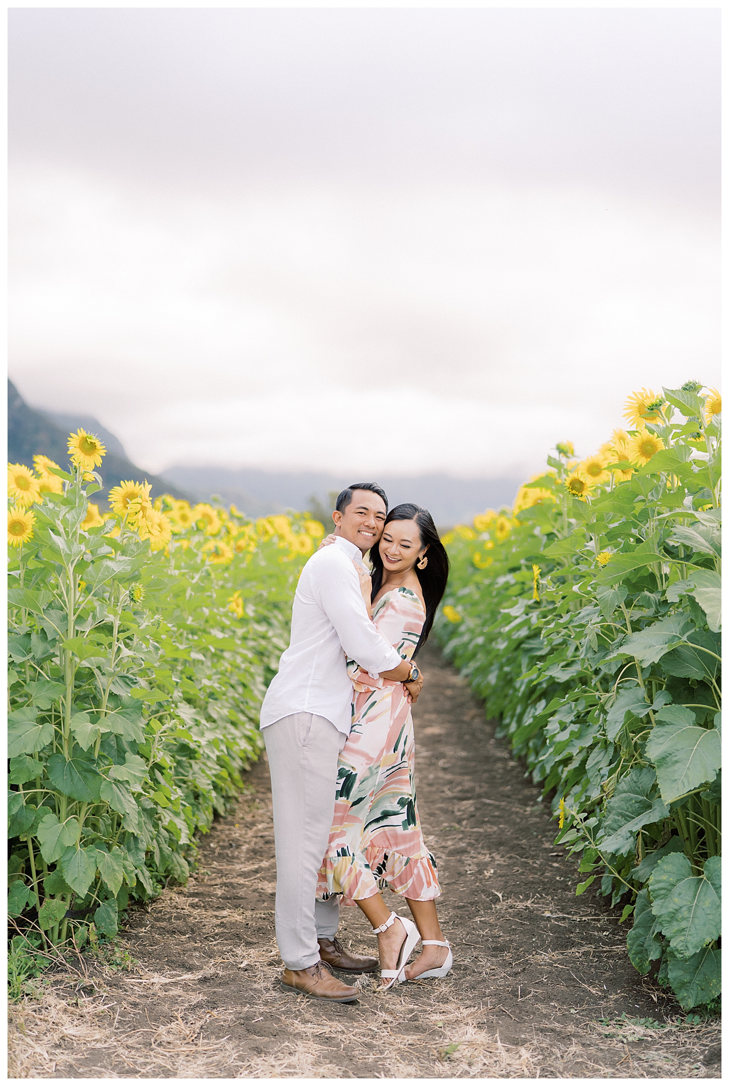 Sunflower Field Oahu Photoshoot