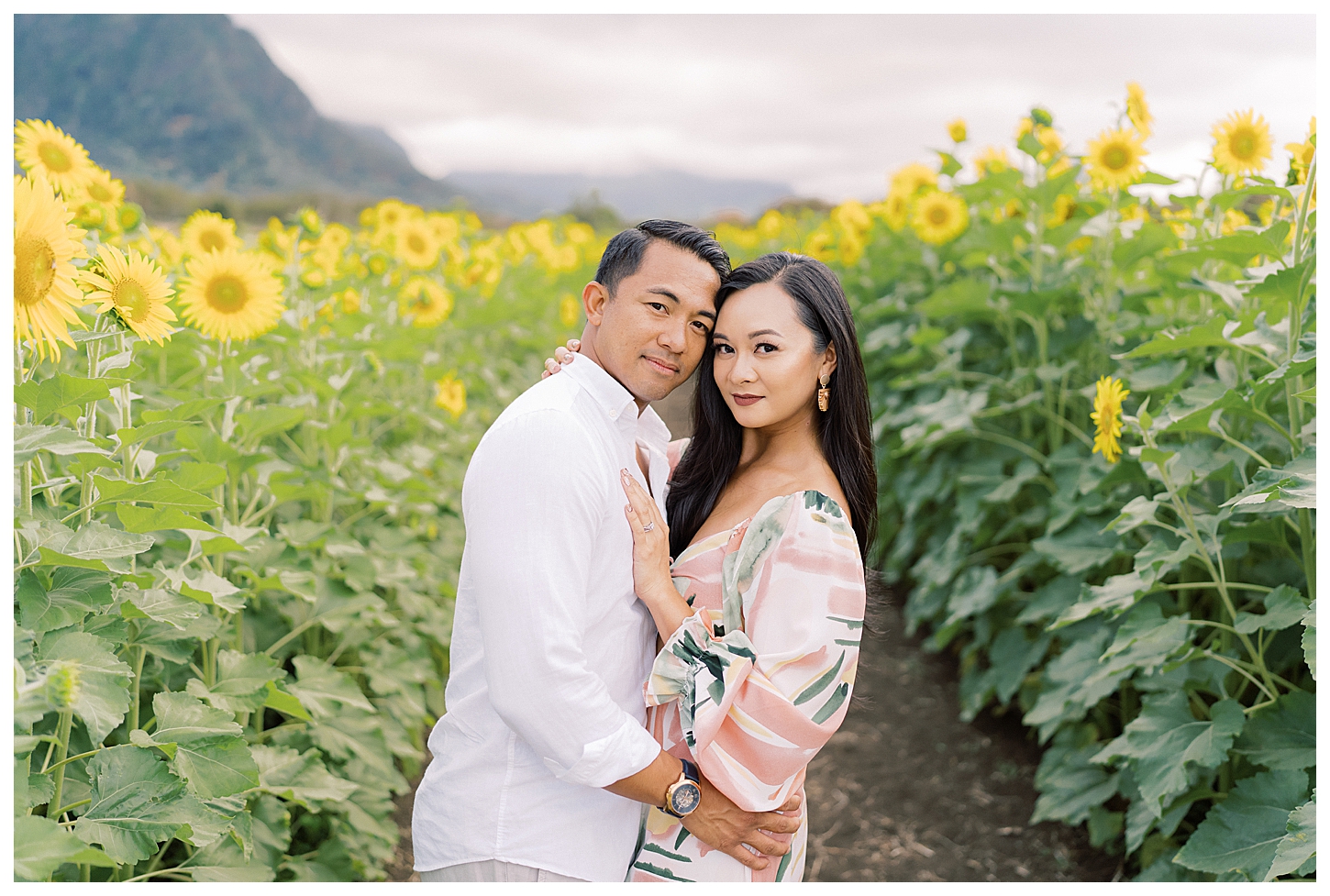 Sunflower Field Oahu Photoshoot