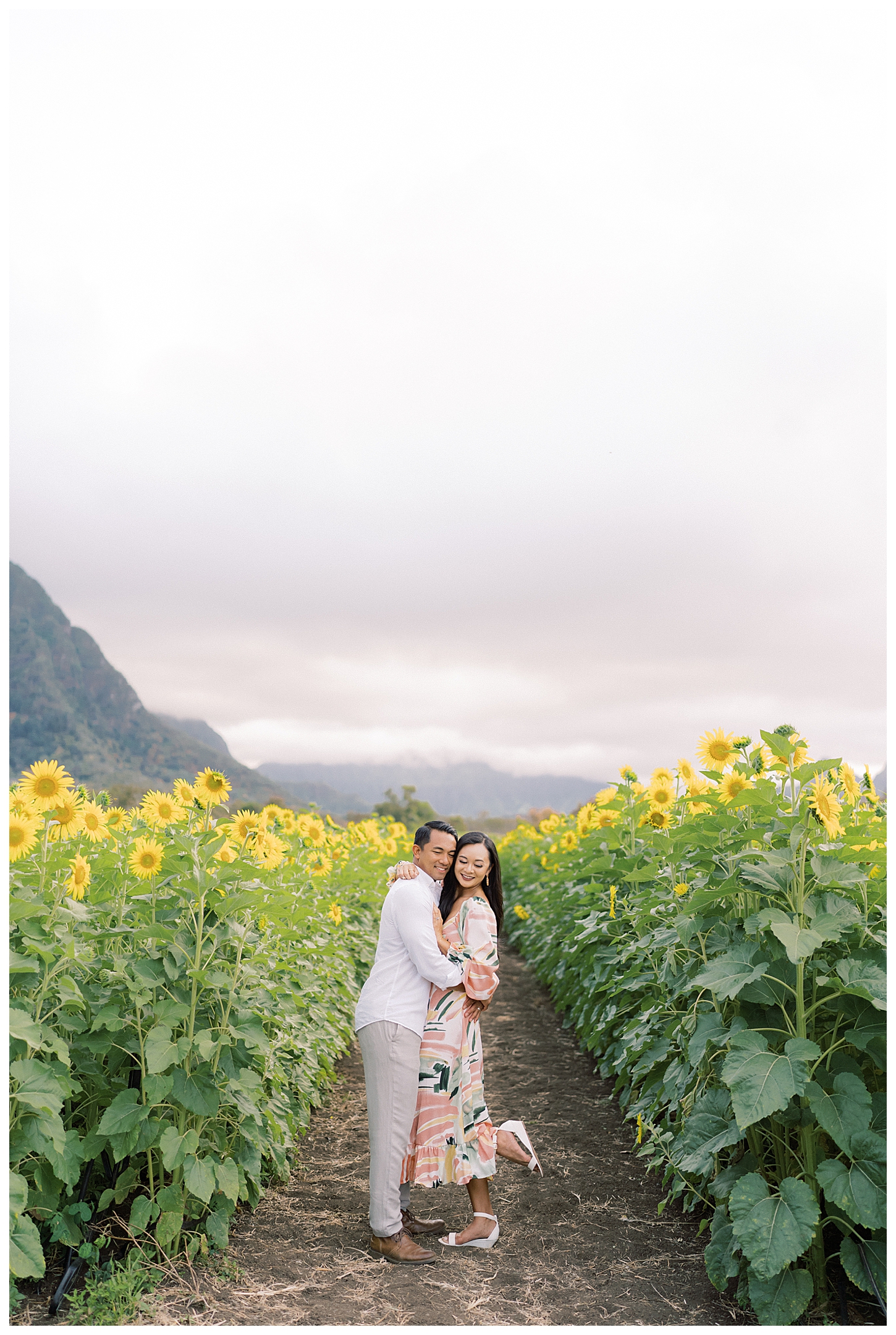 Sunflower Field Oahu Photoshoot