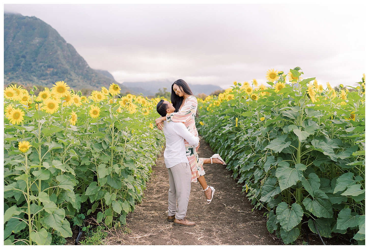 Sunflower Field Oahu Photoshoot