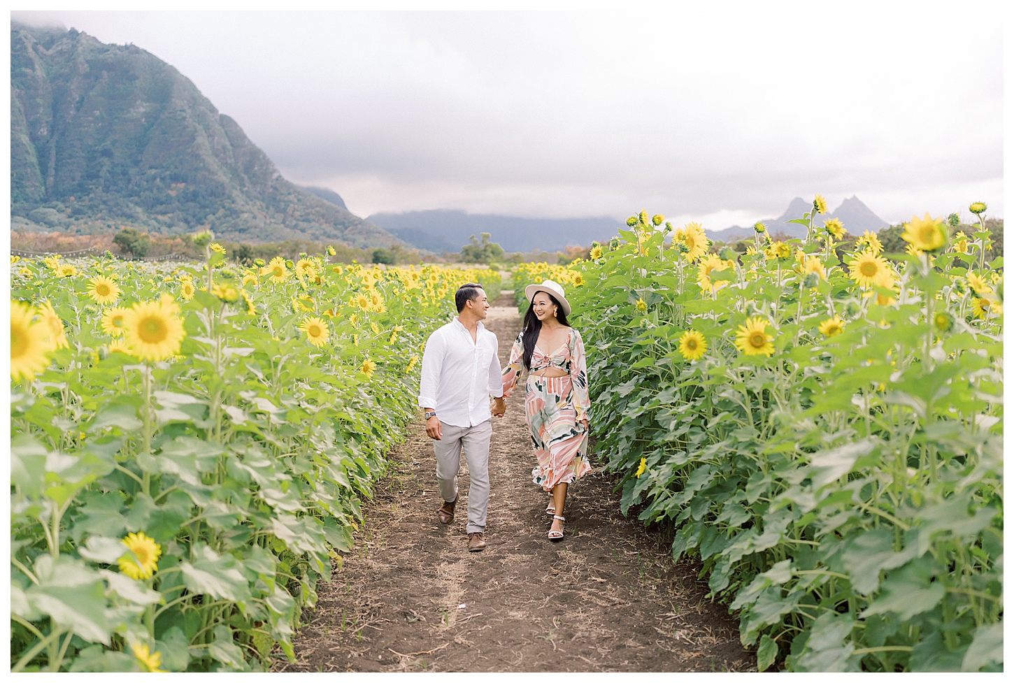 Sunflower Field Oahu Photoshoot