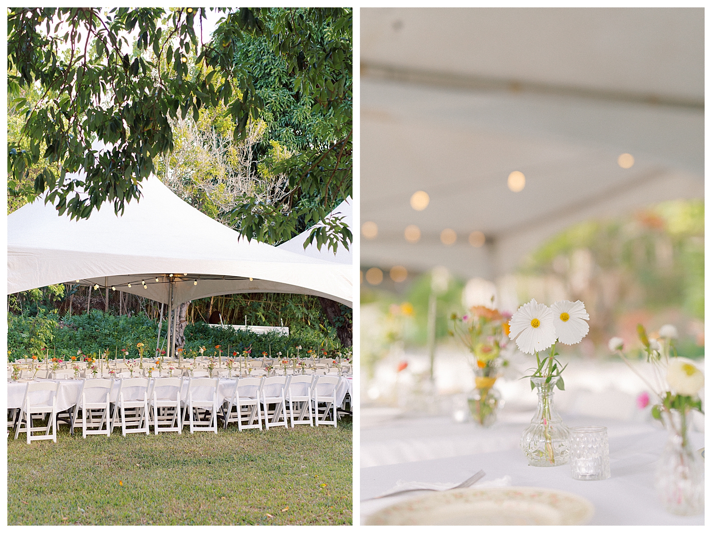 DIY Hawaii wedding reception