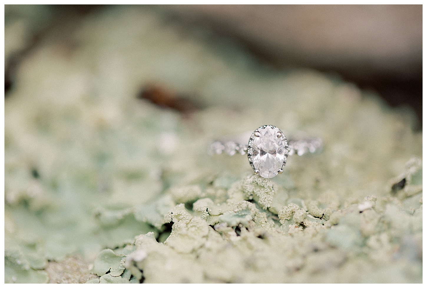 Winter engagement photos in Virginia