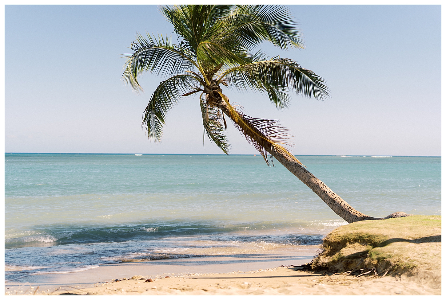 Waialae Beach Elopement Photographer