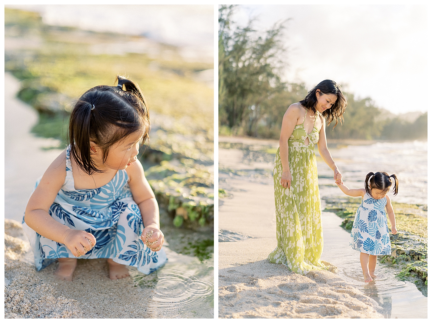 Turtle Bay Family Photographer