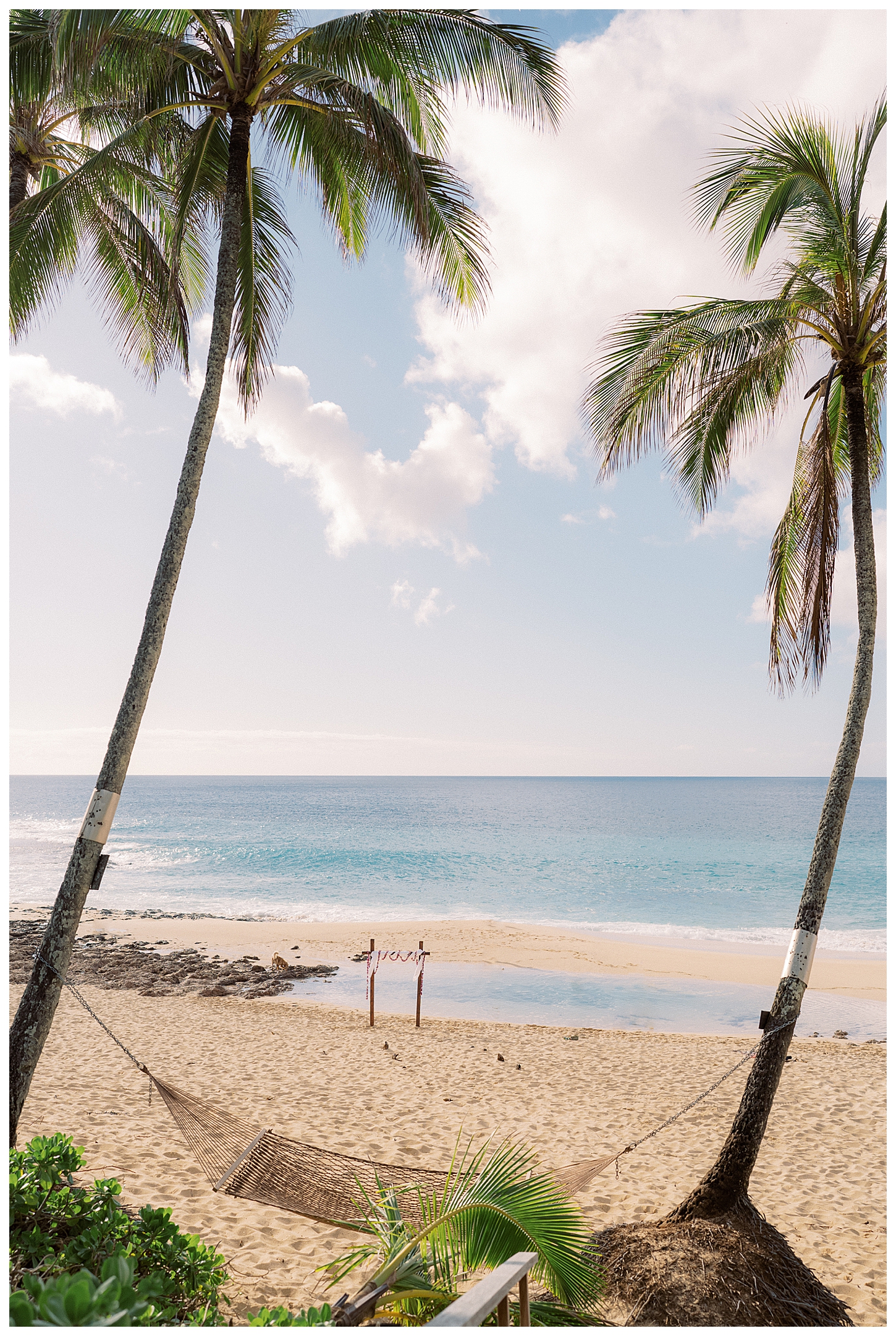 Oahu Hawaii Elopement Photographer