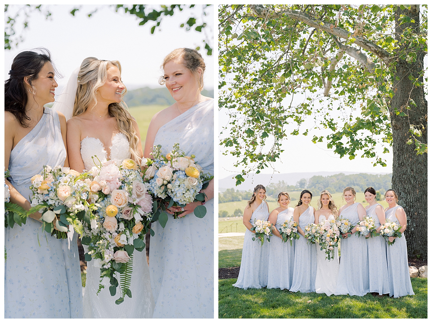 Sky Ridge Farm Wedding Photographer